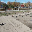���� ����., ������, 40 ��� - ��������� 18 ������� 2023 � ������ ���� ����������