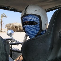 �����, ���������, 44 ����