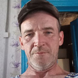 ����, �����-���������, 48 ���