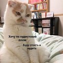 ���� �������, ������, 48 ��� - ��������� 13 ���� 2023 � ������ ������ ��������