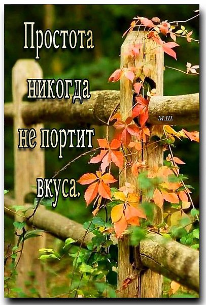   - 17  2023  17:18