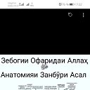 ���� �����������, �������, 44 ���� - ��������� 6 ������� 2023 � ������ ���� ����������