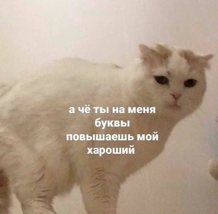    - 29  2023  20:37