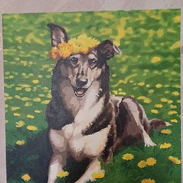 ��������, ���������, 42 ����