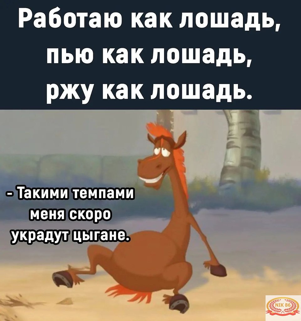   - 3  2023  16:14