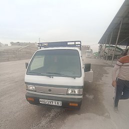 Farrux, �����, 24 ����