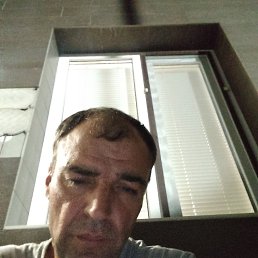 , 44 , 