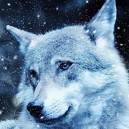 ����, ������, 47 ���