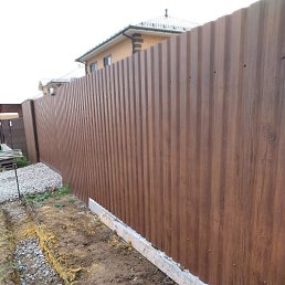 ���� ����, �����������, 57 ��� - ��������� 11 ����� 2023