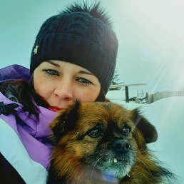 ���� ������, ��������, 43 ���� - ��������� 21 ��� 2023