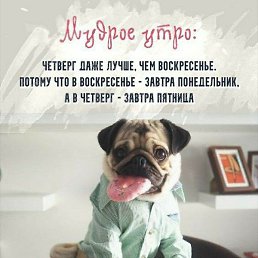 ������, ������, 62 ����