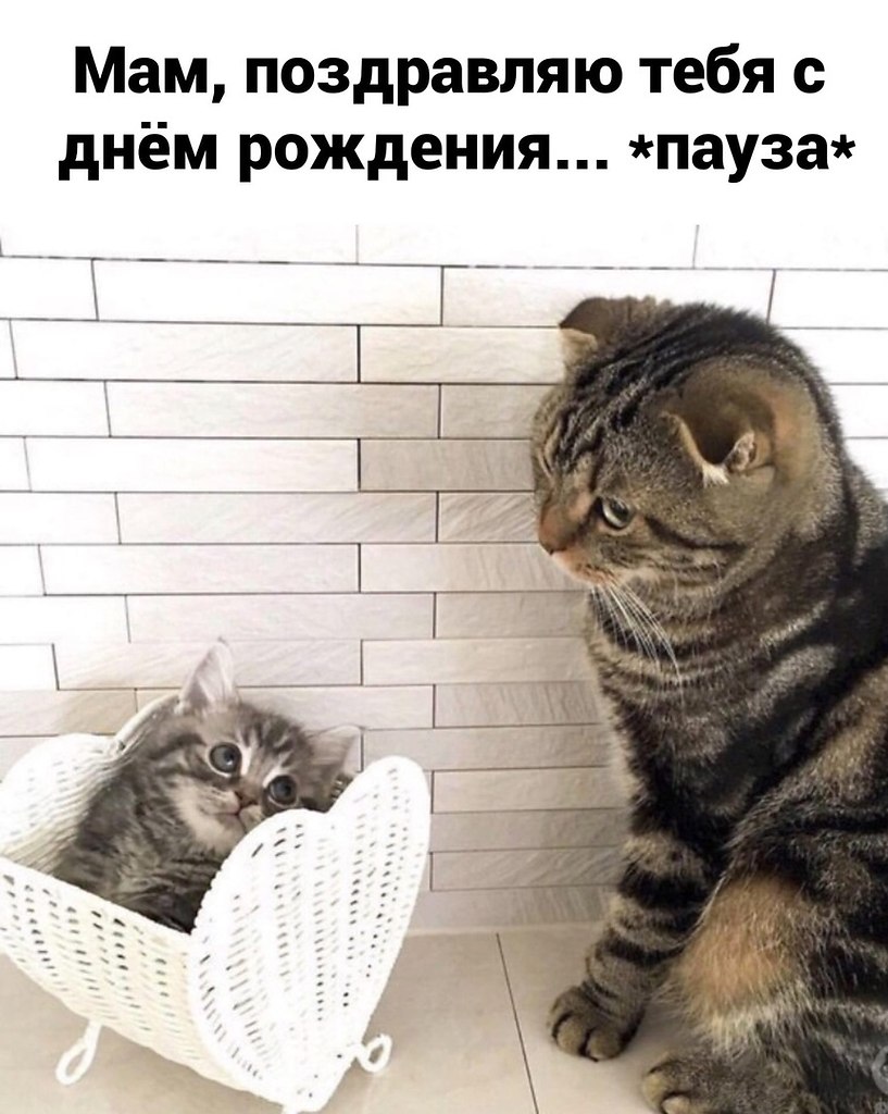 �������� ������������)
