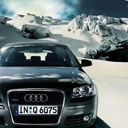 ������, �����������, 65 ���