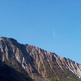 �����, �������, 39 ���