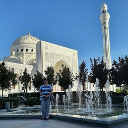 �����, �����-��������, 48 ���