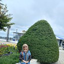 ���� ����� ����������, �����, 76 ��� - ��������� 29 ������ 2023 � ������ ���� ����������