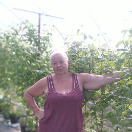 ���� ���������, �����, 52 ���� - ��������� 7 ������� 2023