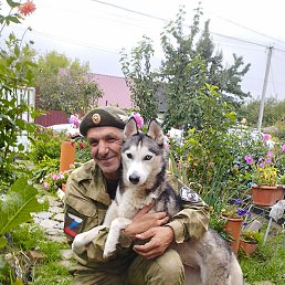 �������, ����, 55 ���