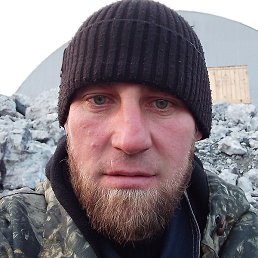 ����, ��������, 37 ���