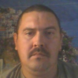 ������, ������, 41 ���