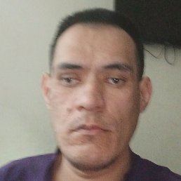 ������, �����, 41 ���