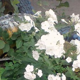 ���� �����, ������, 47 ��� - ��������� 30 ���� 2023