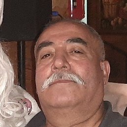 �����, �������, 66 ���