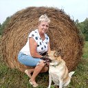 ���� �������, �����������, 67 ��� - ��������� 12 ��� 2023