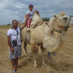 �����, ������������, 42 ����