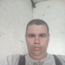 ���� ������, ��������, 41 ��� - ��������� 16 ���� 2023