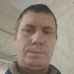 �����, �������, 40 ���