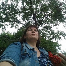 �������, �����-���������, 56 ���