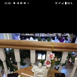 ������, �������, 39 ���