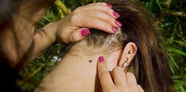 Используй этот хитрый трюк, чтобы не стать жертвой клещей! У теплых летних и весенних деньков есть ... - 2