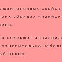 ���� �����, �����-���������, 67 ��� - ��������� 16 ������� 2023