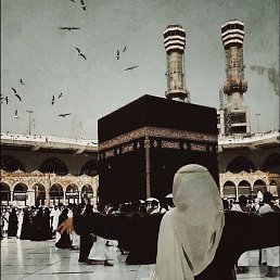 ������, ������, 24 ����