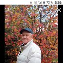 ���� ����, ���� - ��������� 11 ��� 2023 � ������ ���� ����������