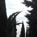 ���� Vit, �����, 52 ���� - ��������� 17 ��� 2023 � ������ ���� ����������