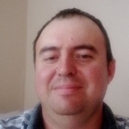 �������, ���������, 41 ���