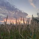 ���� ����� �� �����, �������, 49 ��� - ��������� 18 ����� 2023