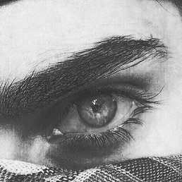 ���, ������������, 20 ���