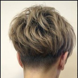 ������, ���������, 37 ���