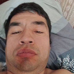 ���, ������, 41 ���