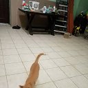 ���� ���������, ����, 45 ��� - ��������� 15 ������� 2023 � ������ ���� ����������