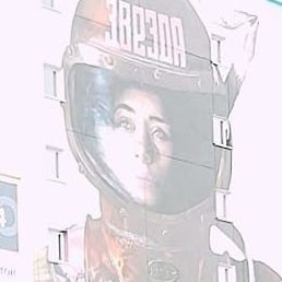 �����, ������, 49 ���