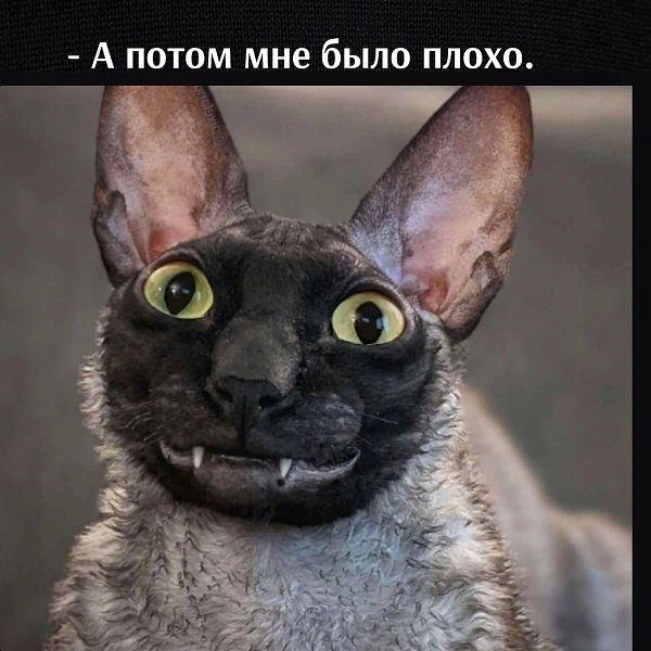       - 2  2023  13:11 - 3