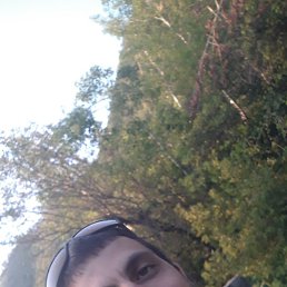 �����, ������, 37 ���