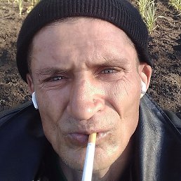 ���������, �������, 46 ���