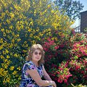  Valentyna C-275,  -  8  2023   - 2023