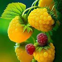 ���� ������, ������ - ��������� 27 ���� 2023 � ������ ������ ��������